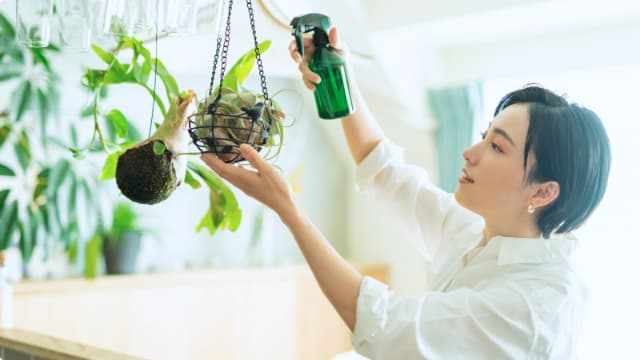 私たちの家づくり