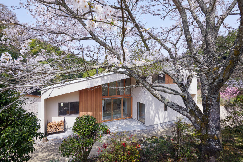 『Sakura Times』〜山深い桜薫る家〜