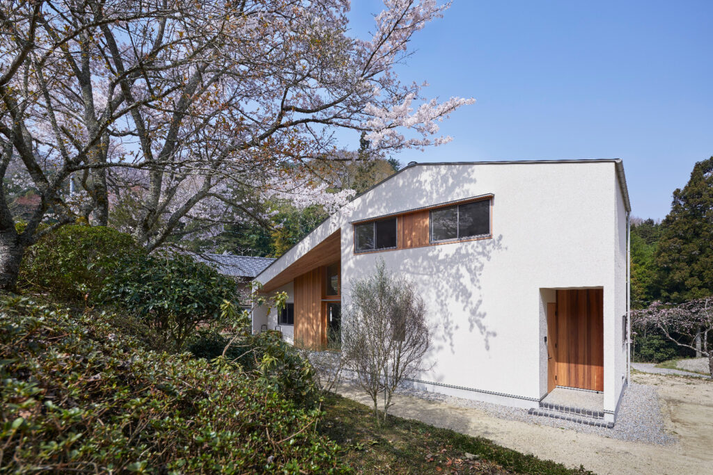『Sakura Times』〜山深い桜薫る家〜