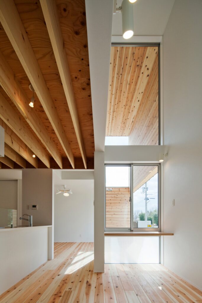 ガルバリウム鋼板と木が融合した不思議なカタチの外観