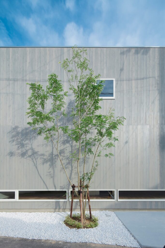 母と祖母を想う家