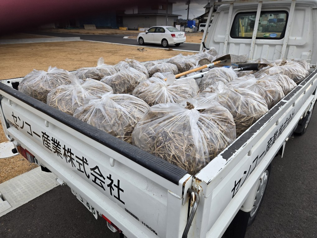 分譲地クリーン活動